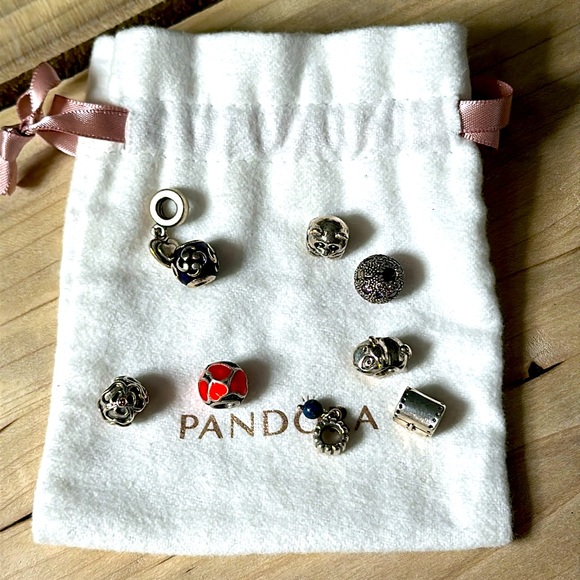 Pandora Jewelry - 8 Pandora Charms